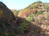 20051119_oyanagawatrip_015